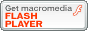 Macromedia Flash Player herunterladen!